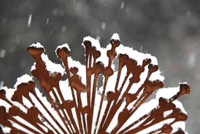 Gartenstecker Edelrost Allium im Schnee Rostdeko Pusteblume